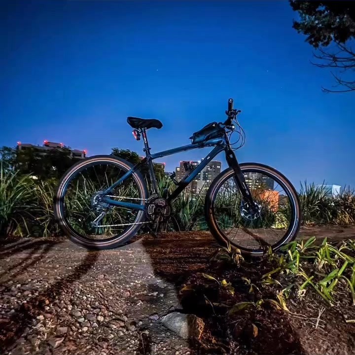 Bici al atardecer